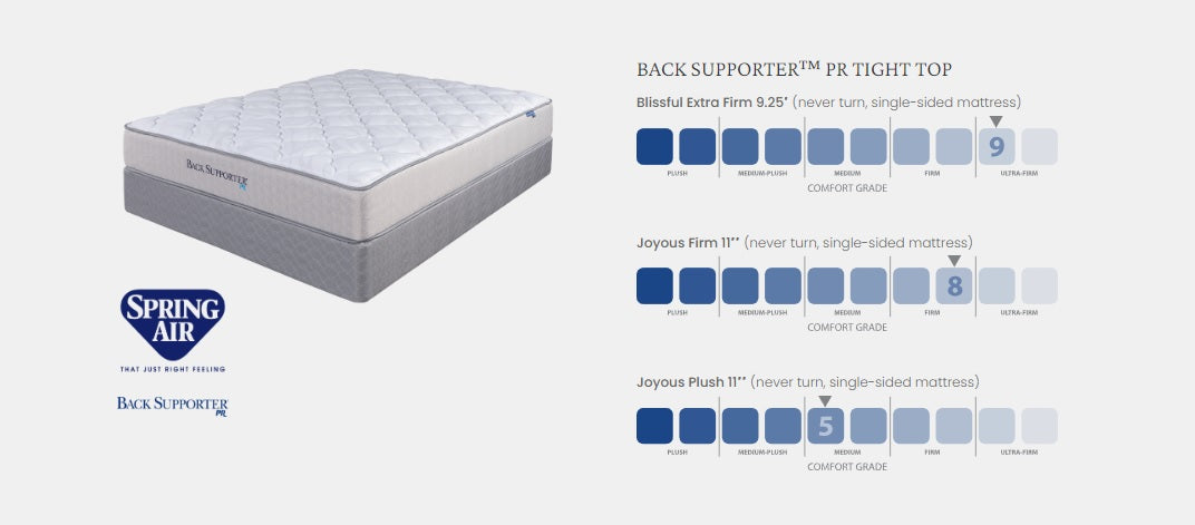 Glacier Frost Plush Queen Mattress Set